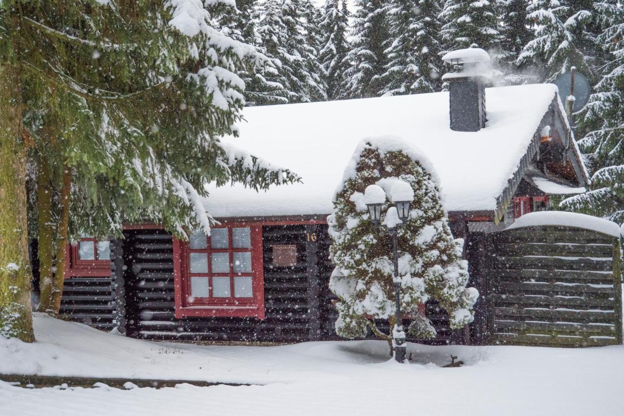 Ferienhaus Naturliebe Winterberg Exterior photo